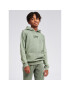 Lee Суитшърт Tonal 0124 Зелен Regular Fit - Pepit.bg