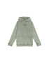 Lee Суитшърт Tonal 0124 Зелен Regular Fit - Pepit.bg