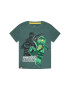 LEGO Wear Тишърт 12010021 Зелен Regular Fit - Pepit.bg