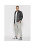 Nike Долнище анцуг Park 20 CW6907 Сив Regular Fit - Pepit.bg