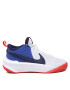 Nike Обувки Team Hustle D 10 (Gs) CW6735 103 Сив - Pepit.bg