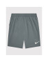 Nike Спортни шорти CV9308 Сив Regular Fit - Pepit.bg