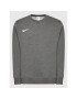Nike Суитшърт Park 20 CW6902 Сив Regular Fit - Pepit.bg