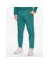 Outhorn Долнище анцуг TTROM194 Зелен Regular Fit - Pepit.bg