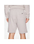 Penfield Спортни шорти PFD0343 Сив Regular Fit - Pepit.bg