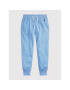 Polo Ralph Lauren Долнище анцуг 211780215021 Син Regular Fit - Pepit.bg
