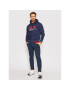 Polo Ralph Lauren Суитшърт Graphic Fleece 710843383001 Тъмносин Regular Fit - Pepit.bg