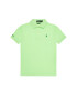 Polo Ralph Lauren Тениска с яка и копчета The Earth 323780773 Зелен Regular Fit - Pepit.bg