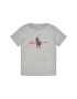 Polo Ralph Lauren Тишърт Ss Graph Tee 321839239003 Сив Regular Fit - Pepit.bg