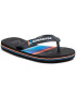 Quiksilver Джапанки AQBL100423 Сив - Pepit.bg