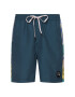 Quiksilver Плувни шорти Arch 17" EQYJV03582 Зелен Regular Fit - Pepit.bg