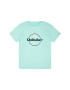 Quiksilver Тишърт Words Remain EQBZT04142 Зелен Regular Fit - Pepit.bg