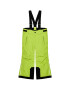 Reima Ски панталони Takeoff 532187 Зелен Regular Fit - Pepit.bg