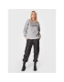 Replay Суитшърт W3748.000.22604 Сив Regular Fit - Pepit.bg