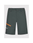 Salewa Шорти от плат Iseo Dry 27068 Сив Regular Fit - Pepit.bg