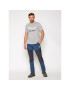 Salewa Тишърт Solidlogo Dry 27018 Сив Regular Fit - Pepit.bg