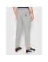 Save The Duck Долнище анцуг DF0170U BLEE14 Сив Regular Fit - Pepit.bg