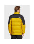 The North Face Пухено яке Diablo NF0A4M9J Жълт Regular Fit - Pepit.bg