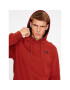 The North Face Суитшърт M Seasonal Drew Peak Pullover - EuNF0A2TUVUBC1 Кафяв Regular Fit - Pepit.bg