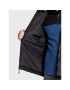 The North Face Зимно яке Quest NF00C302 Черен Regular Fit - Pepit.bg