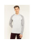 Tommy Hilfiger Суитшърт Woolblend Raglan Hoody MW0MW12260 Сив Regular Fit - Pepit.bg