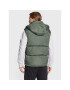 Tommy Jeans Елек Alaska Vest DM0DM14447 Зелен Regular Fit - Pepit.bg