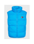 Tommy Jeans Елек Reverse Monogram DW0DW13750 Син Regular Fit - Pepit.bg