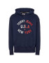 Tommy Jeans Суитшърт Arched Graphic DM0DM07885 Тъмносин Regular Fit - Pepit.bg