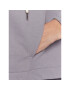 Triumph Суитшърт Thermal 10213446 Сив Regular Fit - Pepit.bg