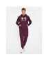 Under Armour Долнище анцуг Ua Rival Fleece Joggers 1379774 Бордо Loose Fit - Pepit.bg