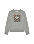 Vans Суитшърт Print Box Crew VN0A5I73 Сив Regular Fit - Pepit.bg