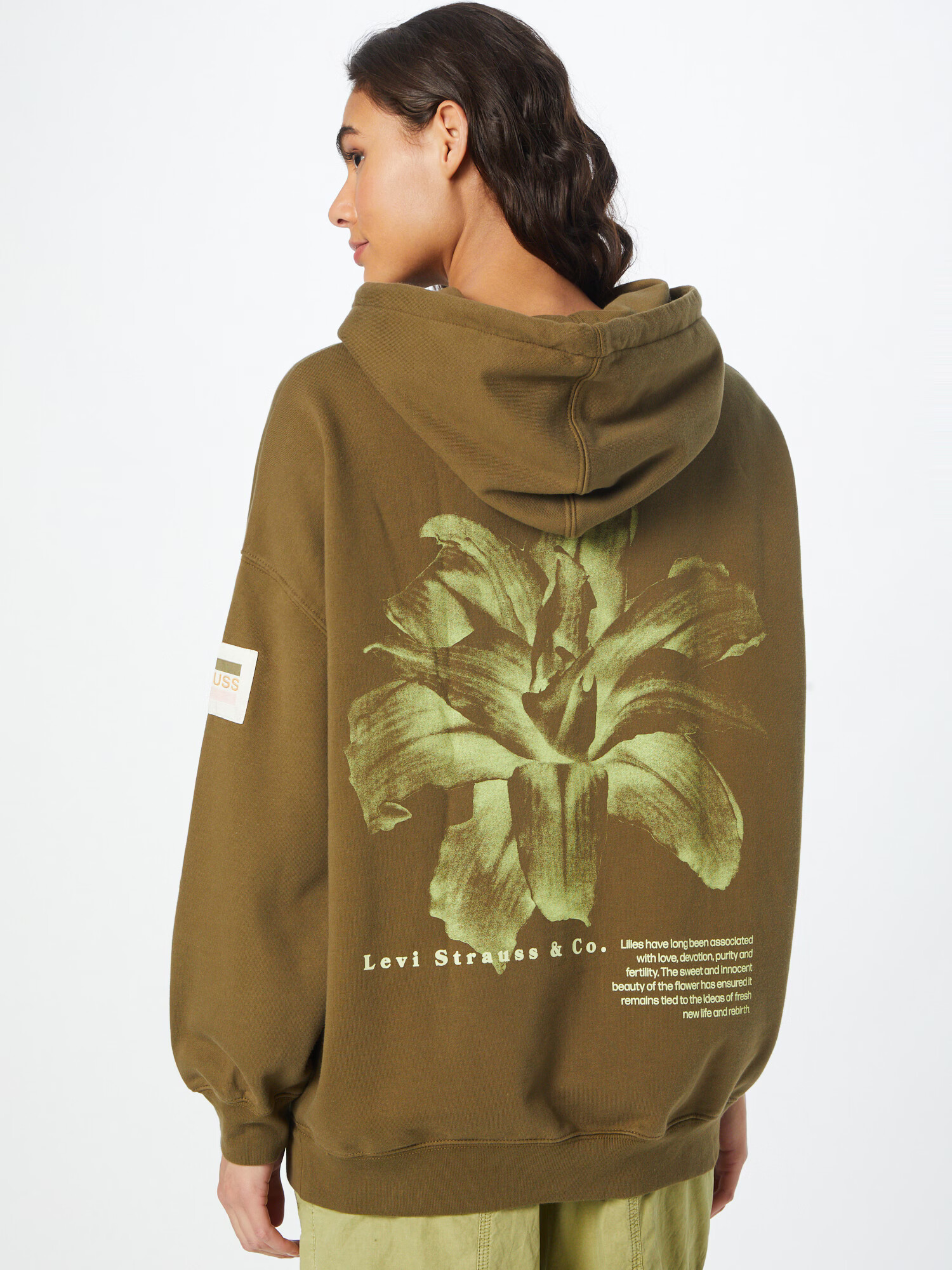 LEVI'S Суичър 'GRAPHIC ORON HOODIE GREENS' маслина / светлозелено - Pepit.bg