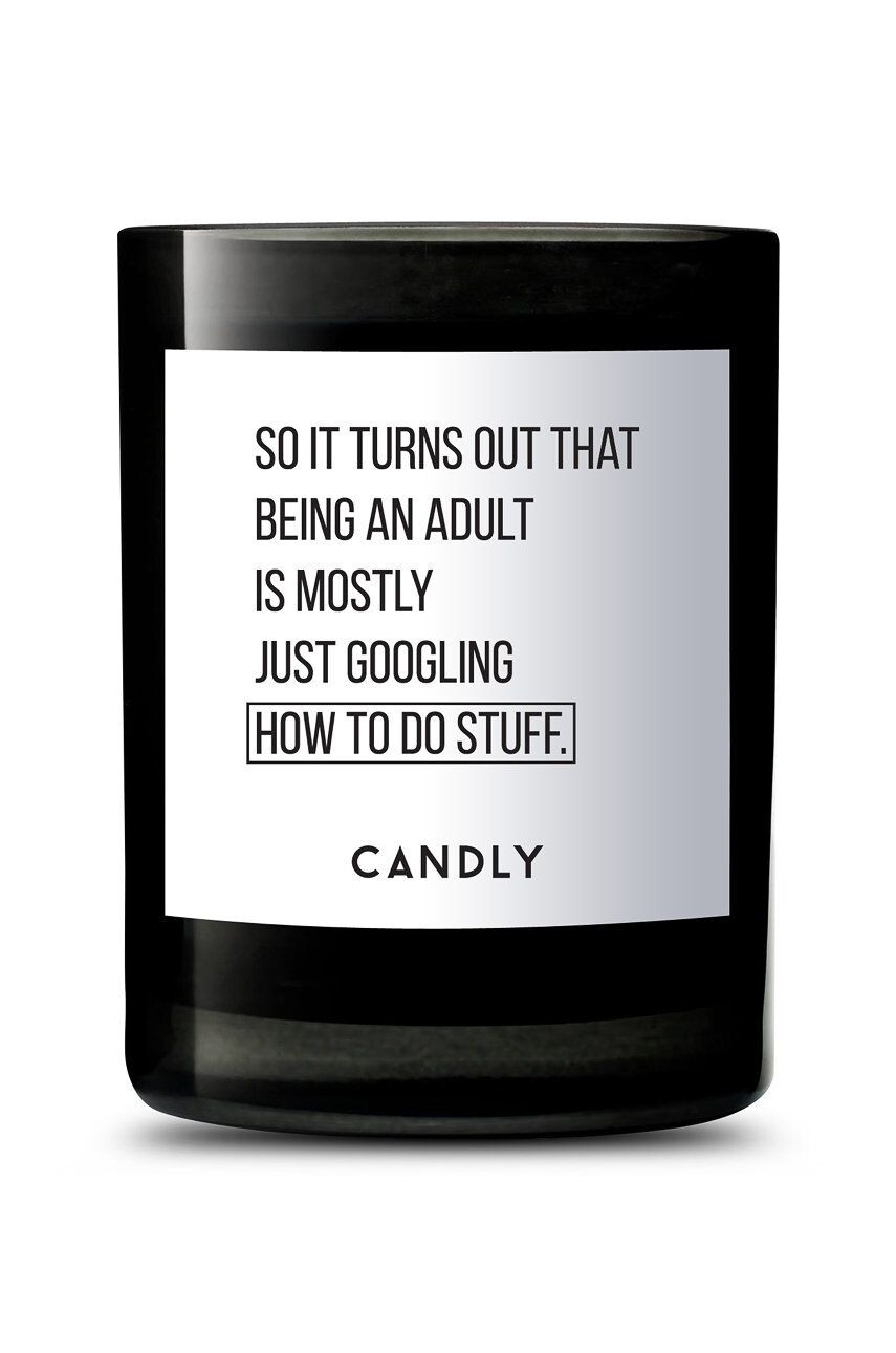 Candly Ароматна соева свещ So it turns out that being an adult is mostly just googling how to do stuff 250 g - Pepit.bg