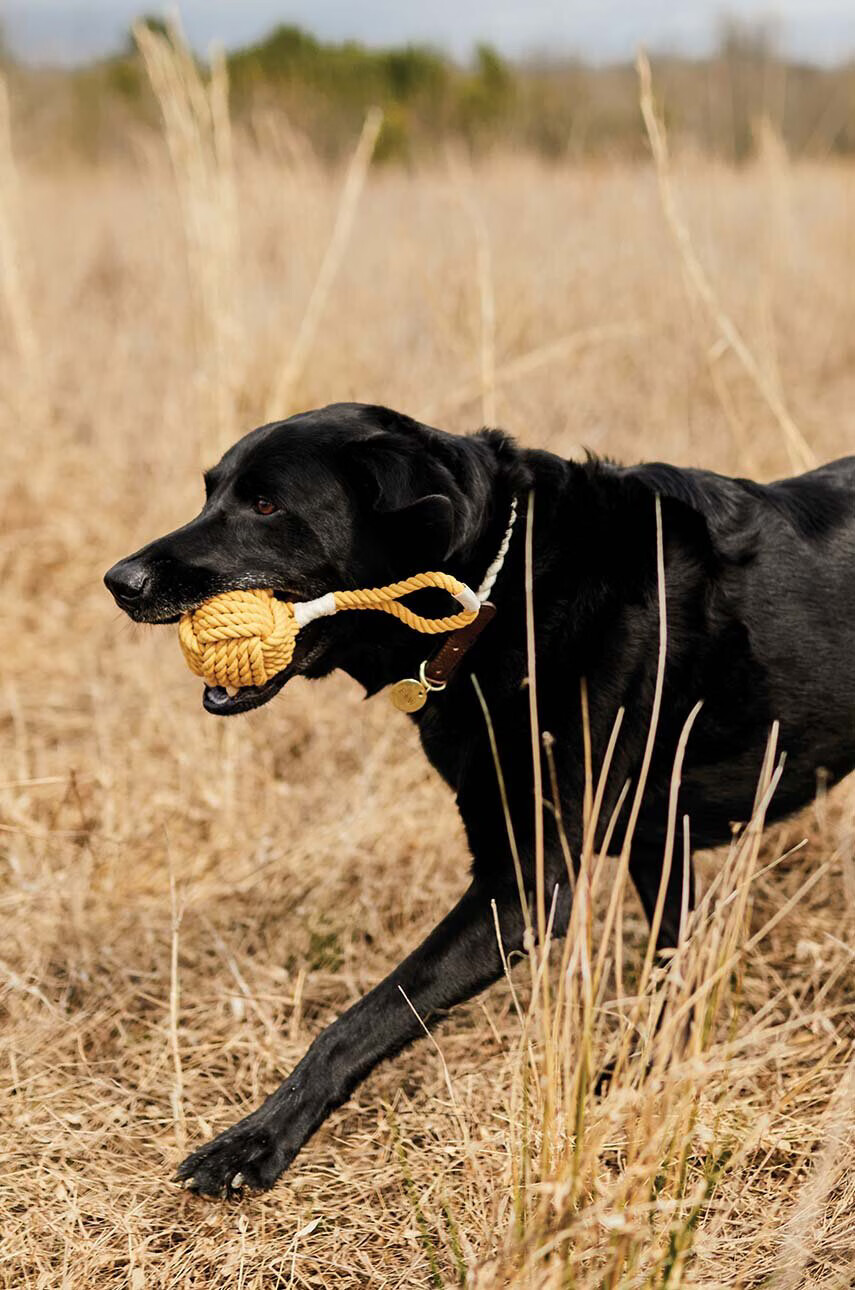 Field + Wander Играчка за куче Dog Rope Toy - Pepit.bg