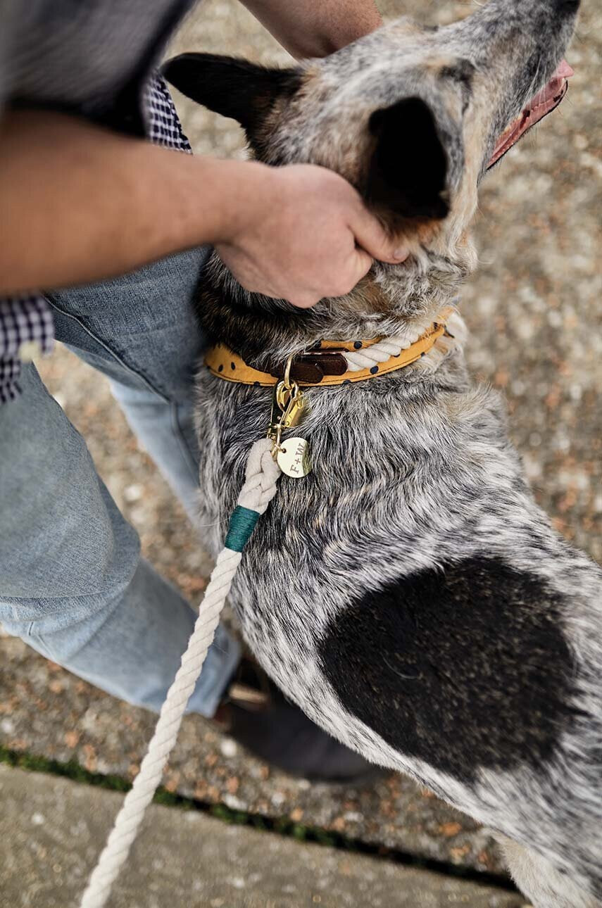 Field + Wander Нашийник за куче Dog Collar L - Pepit.bg