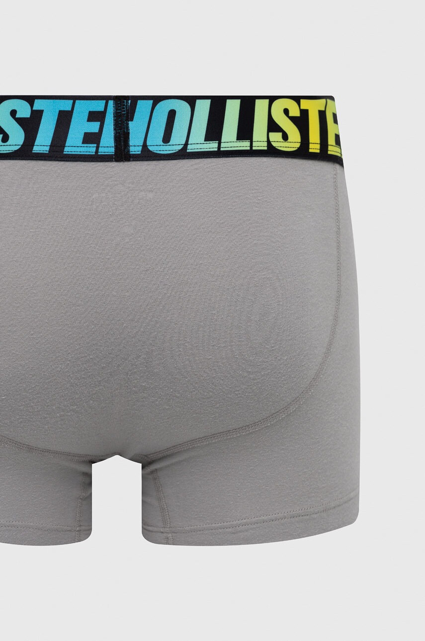 Hollister Co. Боксерки - Pepit.bg