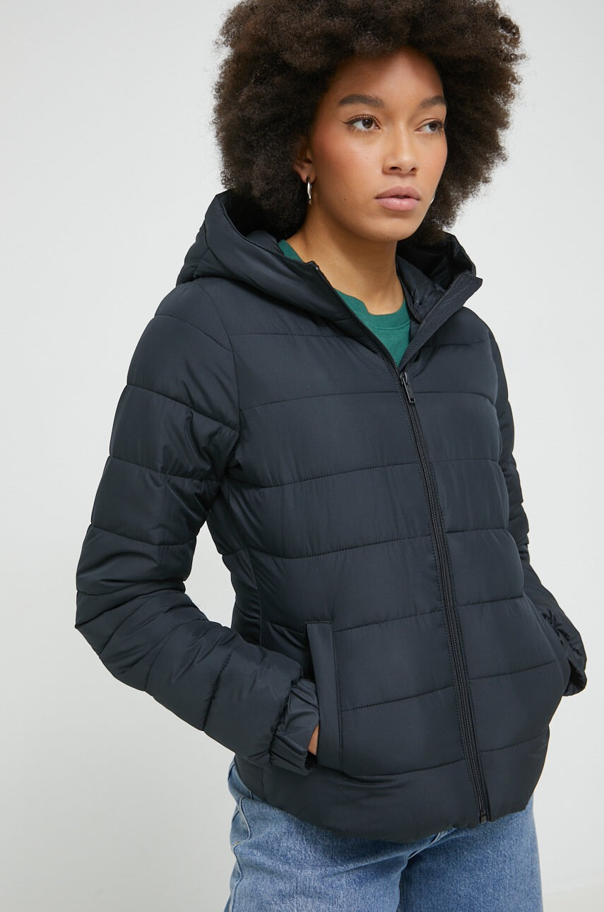 Hollister Co. Яке - Pepit.bg