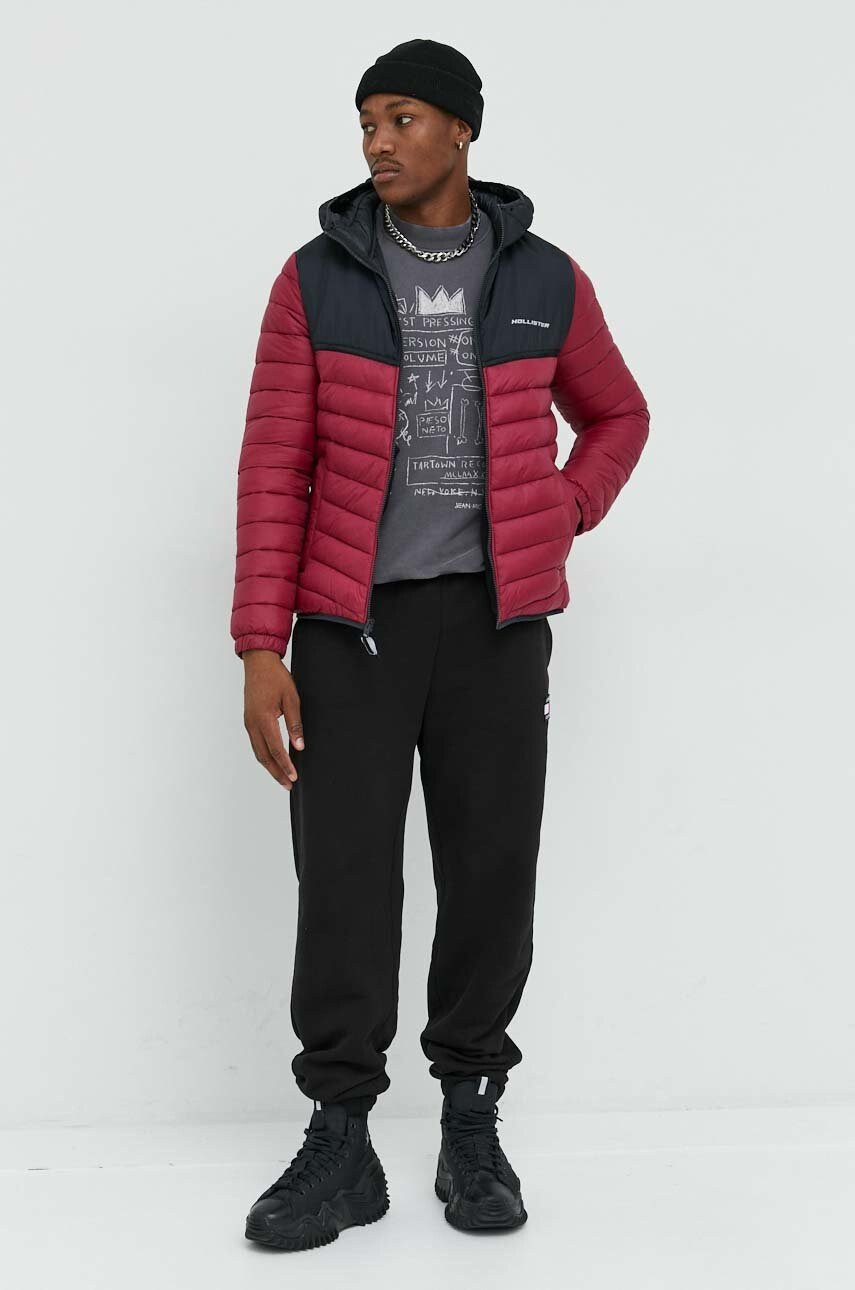 Hollister Co. Яке - Pepit.bg