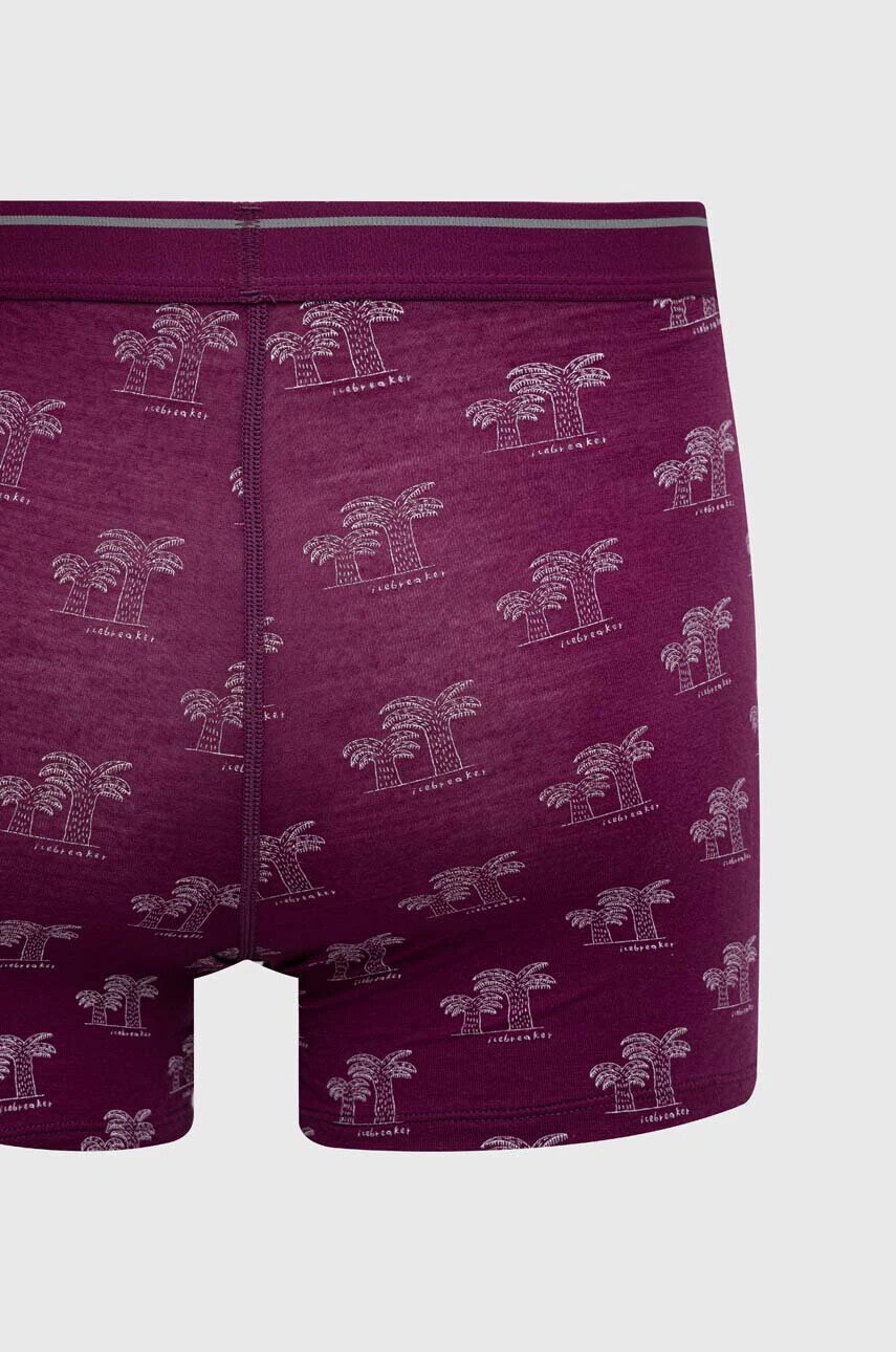 Icebreaker Функционално бельо Merino Anatomica в лилаво - Pepit.bg