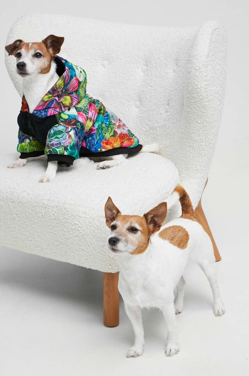 Medicine Суичър за домашен любимец - Pepit.bg