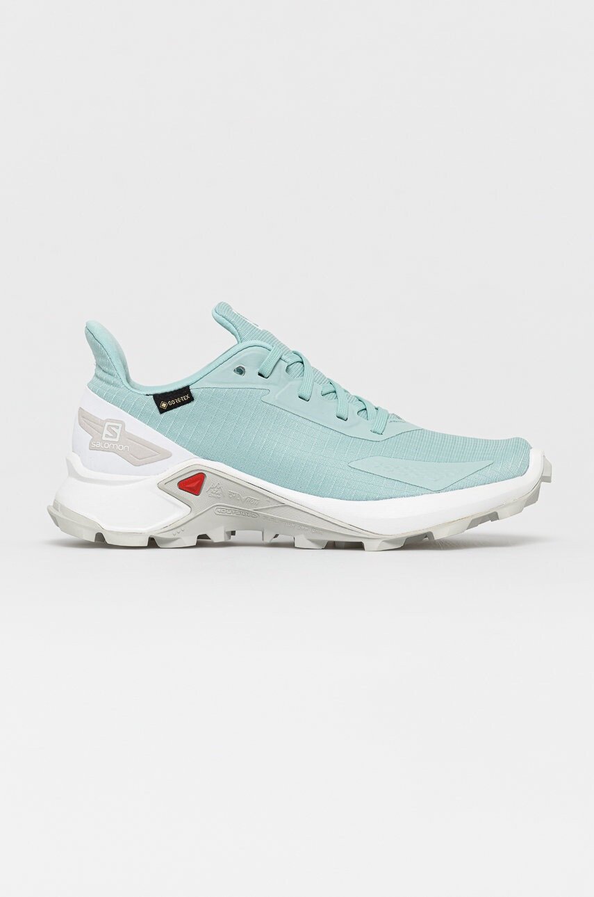 Salomon Обувки ALPHACROSS BLAST GTX - Pepit.bg
