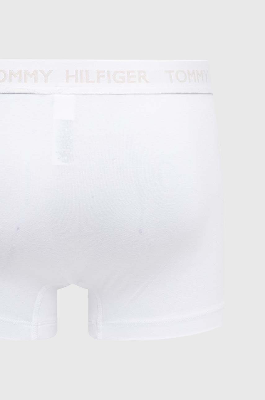 Tommy Hilfiger Боксерки x Shawn Mendes (2 чифта) - Pepit.bg