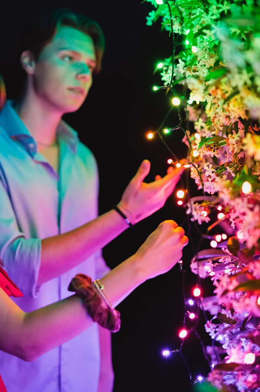 Twinkly Интелигентни лампички за коледна елха Strings 250 LED RGB + W 20mb - Pepit.bg