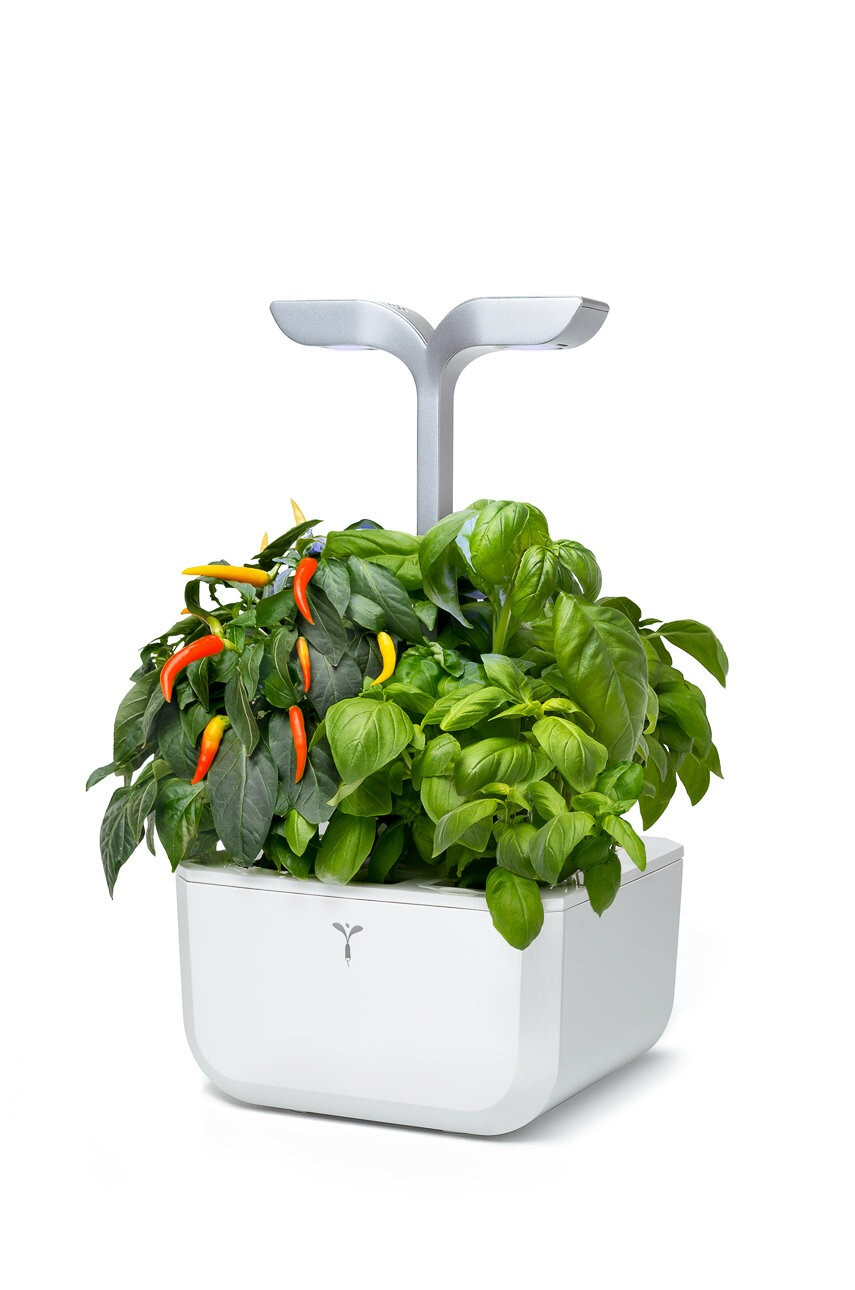 Veritable Автономна домашна градина Exky Smart - Pepit.bg