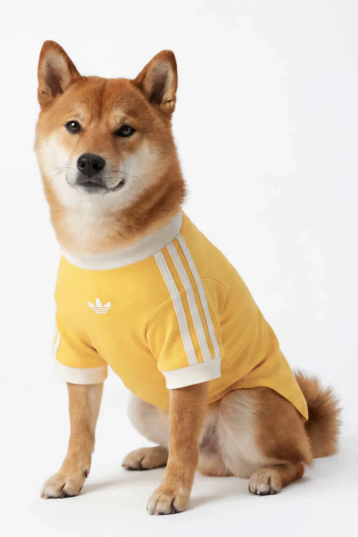 adidas Originals домашен любимец Pet Cali KY8731