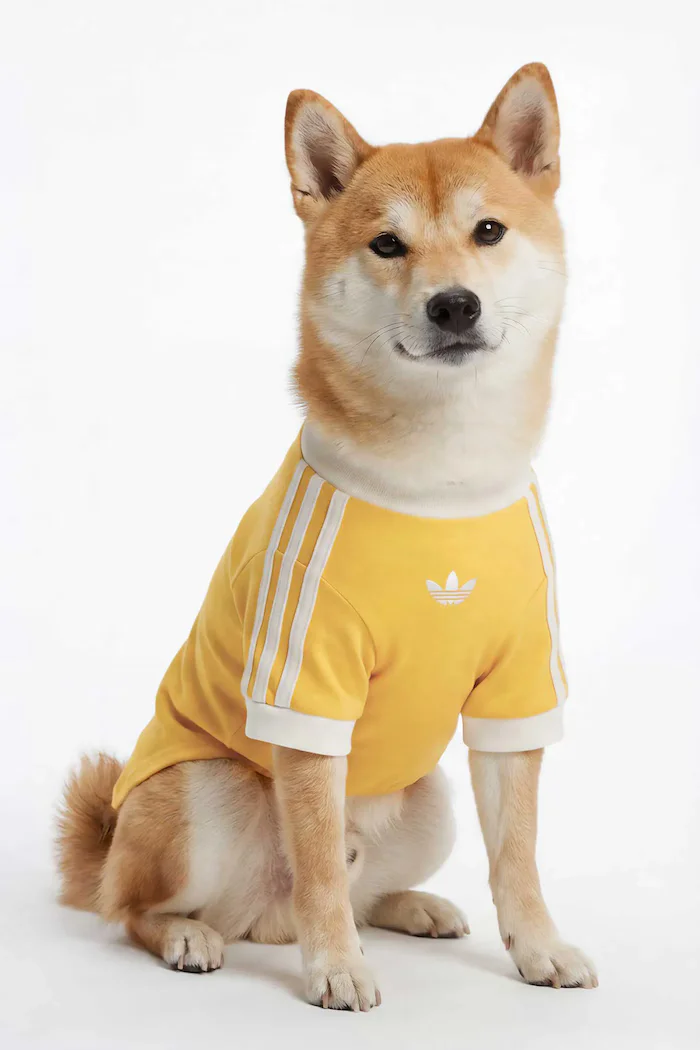 adidas Originals домашен любимец Pet Cali KY8731