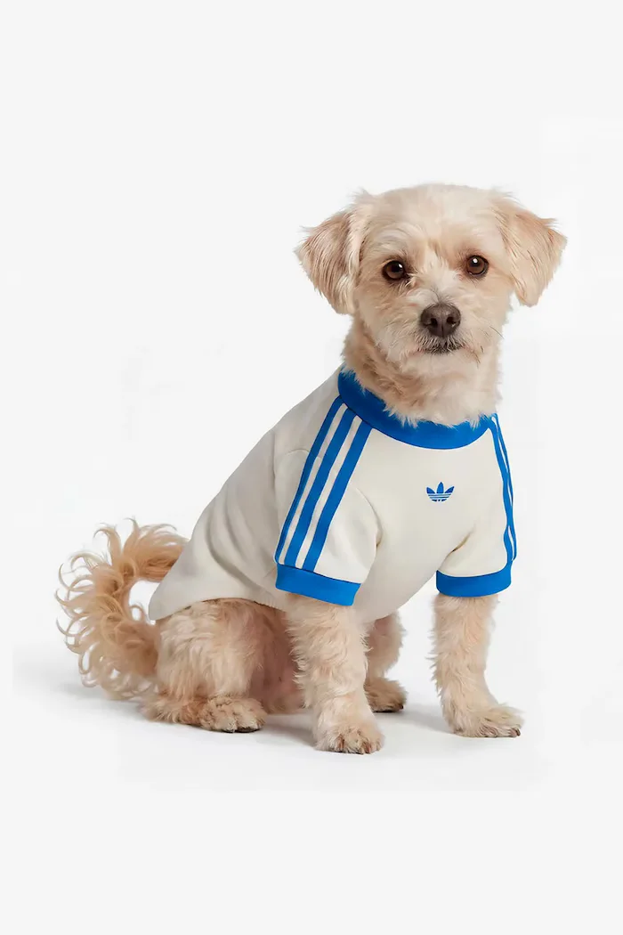 adidas Originals домашен любимец Pet Cali KY8732