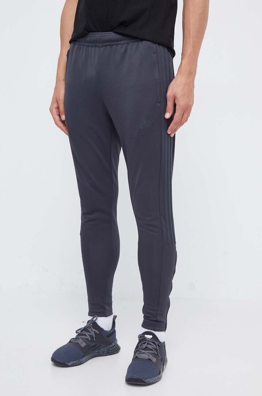 adidas Спортен панталон