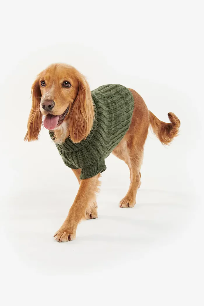 Barbour Кучешки пуловер Saltburn Dog Jumper в зелено
