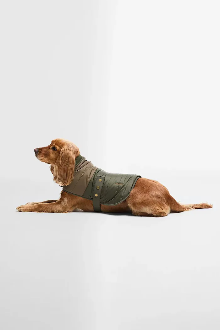 Barbour Кучешко палто Brampton Quilted Dog Coat